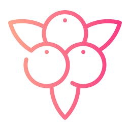 Cranberry icon