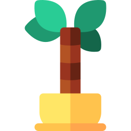 yucca icona