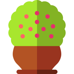 conta de coral Ícone