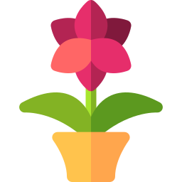 Amaryllis icon