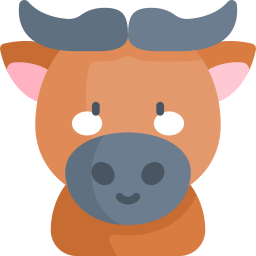 Buffalo icon