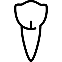 premolaar icoon