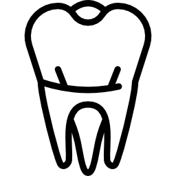 ząb trzonowy ikona
