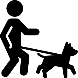 犬を連れて散歩をしている icon