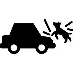 Car Run Over Dog icon