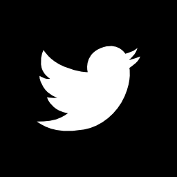 twitter иконка