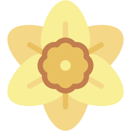 Daffodil icon