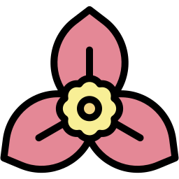 부겐빌레아 icon