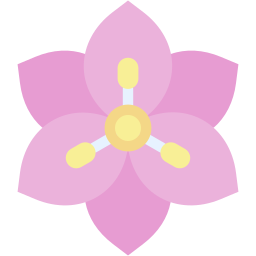 seerose icon