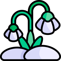 Snowdrop icon