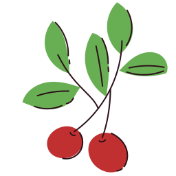 Mistletoe icon