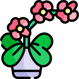 orquídea icono