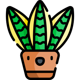 Snake plant icon