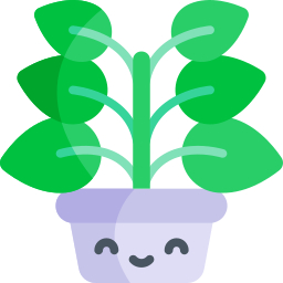 Ficus icon