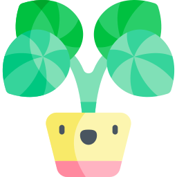 Peperomia watermelon icon