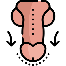 Penis icon