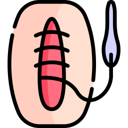 sutura Ícone