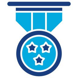 médaille de bronze Icône