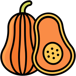 バターナッツスカッシュ icon