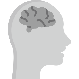 Brain icon