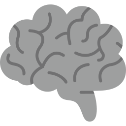 Brain icon