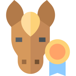 Horse race icon