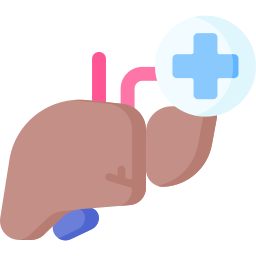 hepatologia Ícone