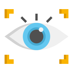 Vision icon