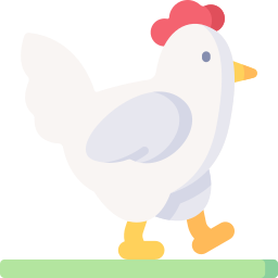 Chicken icon