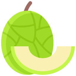 melon Icône