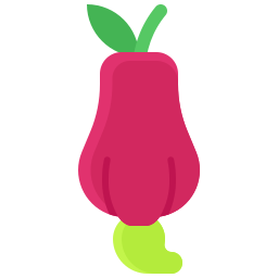 manzana de marañón icono