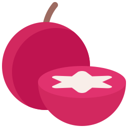 별 사과 icon