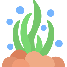 해초 icon