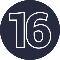 16 Ícone