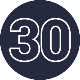 30 Ícone