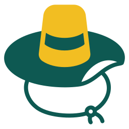 Cowboy hat icon