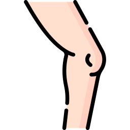 Knee icon