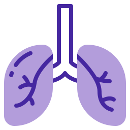 Lungs icon