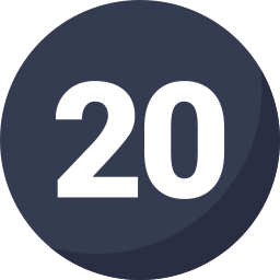 20 icon