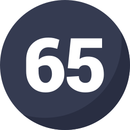 65 Ícone