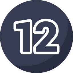 12 icon