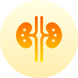 Kidneys icon