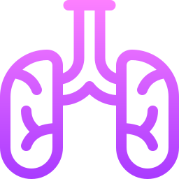 Lungs icon