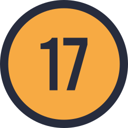 17 icon