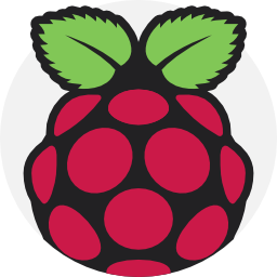 raspberry pi Ícone