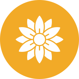 Aster icon