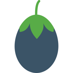 가지 icon