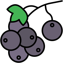 Currant icon