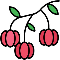 Suriname cherry icon