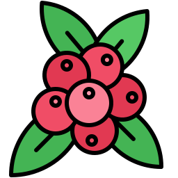 Redcurrant icon